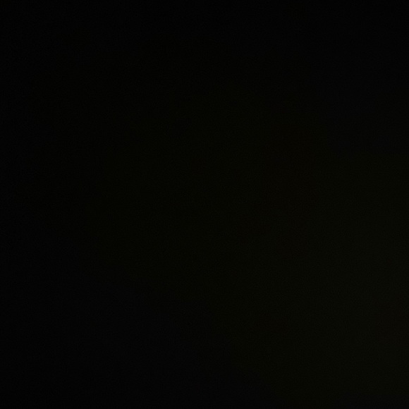 Meet your Posher, Brittney - Picture 1 of 1